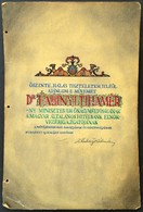 1944 Fabinyi Tihamér Miniszternek Kabay Kálmán [1890- ?] Zenetörténész által írt Munka Kézzel Festettés Aláírt Borítója. - Unclassified