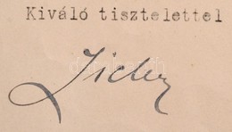 1918 Gróf Zichy Aladár (1864-1937) Király Személye Körüli Miniszter Saját Kezű Aláírása Hivatalos Levélen - Other & Unclassified