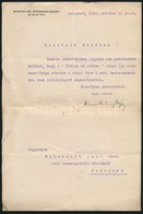 1922 Hivatalos Levél Hegyeshalmy Lajos (1862-1925) Kereskedelemügyi Miniszter Saját Kezű Aláírásával, Fejléces Papíron. - Andere & Zonder Classificatie