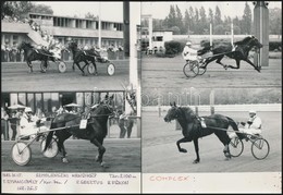 Cca 1982 Ügetői életképek, 2 Db Fotó, Feliratozva, 18×13 Cm - Andere & Zonder Classificatie