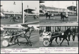 1981-1982 Ügetői életképek, 2 Db Fotó, Feliratozva, 18×13 Cm - Andere & Zonder Classificatie