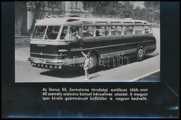 Ikarus 55 Farmotoros Távolsági Autóbusz, Eredeti Sajtófotó, Külön Felirattal, 8×15 Cm - Andere & Zonder Classificatie