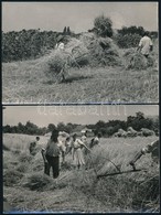 Cca 1950 Aratás, 3 Db Fotó, 12x18 Cm - Andere & Zonder Classificatie