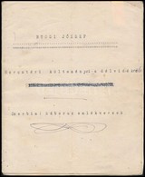 Cca 1921 Bucsi József Harctéri Költeményei A Délvidékről. Szerbiai Háborús Emlékversek, Nagyrészt Gépelt Oldalak, Foltos - Andere & Zonder Classificatie