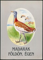 Schmidt Egon: Madarak Földön, égen. Robin Reckitt és Budai Tibor Illusztrációival. Bp.,1992, Magyar Madártani és Termész - Non Classés