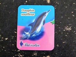 MAGNET PETIT ECOLIER DAUPHIN SOUFFLEUR DOLPHIN CETACE - Publicitaires