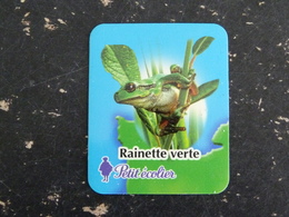 MAGNET PETIT ECOLIER RAINETTE VERTE GRENOUILLE FROG BATRACIEN - Reklame