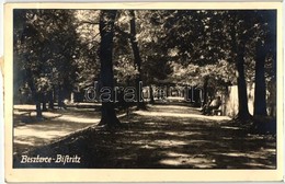 T3 Beszterce, Bistritz; Park, Sétány / Park Promenade (ragasztónyom / Gluemark) - Non Classés