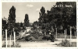 T2 Dés, Dej; Sétatér, Magyar Katona / Park, Hungarian Soldier - Zonder Classificatie