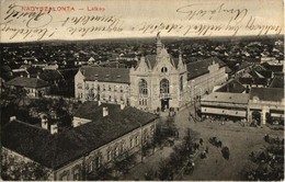 T2/T3 1910 Nagyszalonta, Salonta; Városháza, üzletek. W. L. Bp. 6542. Kiadja Döme Károly / Town Hall, Shops (EK) - Unclassified