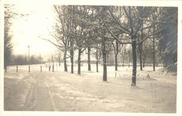 * T1/T2 Székelyudvarhely, Odorheiu Secuiesc; Sétatér Télen, Kovács István Fényképész Felvétele / Park In Winter, Photo ' - Non Classés