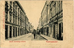 T2 1902 Temesvár, Timisoara; Jenő Herceg Utca, Spitzer üzlete. Kiadja J. Raschka / Street View, Shop - Unclassified