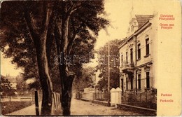 T2/T3 1907 Pöstyén, Pistyan, Piestany; Parksor. W. L. 882. / Parkzeile / Street Vew, Villa (EK) - Zonder Classificatie