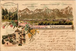 T2/T3 1899 Újtátrafüred, Neu-Schmecks, Novy Smokovec; Nagy Tarpataki Völgy, Csúcsok / Valley, Mountain Peaks. Floral, Li - Zonder Classificatie