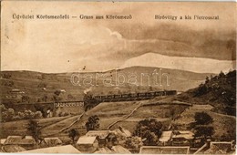 T2/T3 Kőrösmező, Jaszinya, Jasina, Yasinia (Máramaros); Bíró Völgy A Kis Pietrosszal, Vasúti Híd Gőzmozdonnyal / Valley, - Sin Clasificación