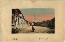 * T3 Bácstopolya, Topolya, Backa Topola;  Gróf Zichy János Utca, üzletek. W. L. Bp. 4191. / Street View, Shops (szakadás - Zonder Classificatie