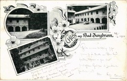 T2 1901 Bad Jungbrunn (Lienz), Spa Hotel. Art Nouveau, Floral - Zonder Classificatie