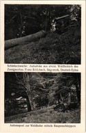** T1/T2 Ilawa, Deutsch Eylau; Schlobachwerke, Aufnahme Aus Einem Waldbetrieb Des Zweigwerkes Franz Schlobach, Sägewerk, - Unclassified