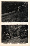 ** T1/T2 Ilawa, Deutsch Eylau; Schlobachwerke, Aufnahme Aus Einem Waldbetrieb Des Zweigwerkes Franz Schlobach, Sägewerk, - Ohne Zuordnung