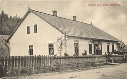 ** T2/T3 Carlsberg, Karlsberg; Shop Of Franz Steiner, Published By Franz Steiner (EK) - Ohne Zuordnung