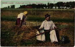 * T2 Alföldi Viselet / Volkstracht Aus Der Ungarische Tiefebene / Hungarian Folklore From Alföld - Unclassified