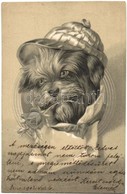 T2/T3 1902 Dog With Rose In His Mouth. Emb. Litho (EK) - Non Classés