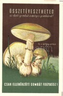 * T2 Összetévesztheted Az Ehető Gombát A Mérges Gombával! Csak Ellenőrzött Gombát Fogyassz! / Hungarian Edible Mushrooms - Unclassified