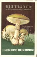 * T2 Összetévesztheted Az Ehető Gombát A Mérges Gombával! Csak Ellenőrzött Gombát Fogyassz! / Hungarian Edible Mushrooms - Non Classés