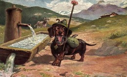 ** T1 Hunting Dog, ASM Nr. 1029. - Non Classificati