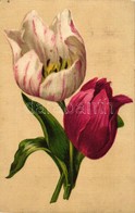 T2 Tulip, Litho - Unclassified