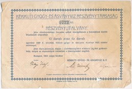 Budapest 1923. 'Kékkuti Gyógy- és Ásványvíz Részvénytársaság' Részvényutalvány 10.000K-ról T:III-,IV Ly., Szakadás - Unclassified