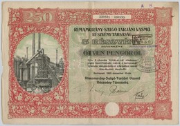 Budapest 1925. 'Rimamurány-Salgó-Tarjáni Vasmű Részvény-Társaság' Részvénye 250P-ről, Bélyegzésekkel, Szelvényekkel és S - Unclassified