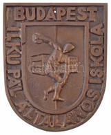 ~1970-1980. 'Ilku Pál Általános Iskola Budapest' Br Emlékplakett (89x110mm) T:2 - Non Classificati