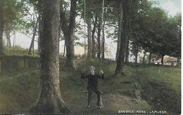 Old Colour Postcard, Scotland, Isle Of Arran, Firth Of Clyde, Brodick Road, Lamlash. Landscape, Boy On A Swing. - Bute