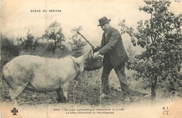 Régions Du Centre : Groupe Sympathique Cherchant La Truffe   Réf  6423 - Centre-Val De Loire