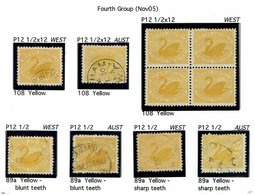 CLASSIC WESTERN AUSTRALIA 2D SWAN EXHIBIT PAGE - Mint Stamps