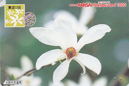 Carte Prépayée Japon - FLEUR - MAGNOLIA DE KOBE Sur TIMBRE Série 06/16 - FLOWER On STAMP Japan Rainbow Card - 2460 - Timbres & Monnaies