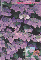 Carte Prépayée Japon - FLEUR - FLEUR - HORTENSIA Sur TIMBRE Série 13/16 - FLOWER On STAMP Japan Rainbow Card - 2466 - Postzegels & Munten