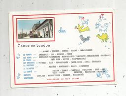 Cp ,86 ,  CEAUX EN LOUDUN  , Vierge ,  Ed. F L , Station Essence ELF ,bar ,tabac - Autres & Non Classés