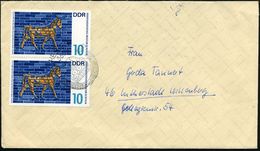 D.D.R. 1966 10 Pf. "Stier-Mosaik, Ischtar-Tor" , Babylon 580 V.u.Z , Reine MeF: Paar , Klar Gest. Inl.-Bf. (Mi.1229 MeF) - Egiptología