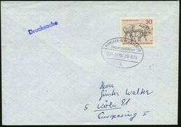 MÜNCHEN-BERCHTESGADEN/ ÜBERLANDPOST/ 0800-01-04/ B 1974 (20.8.) Oval-Stempel , Klar Gest. Inl.-Bf. - KRAFTKURSPOST - HIG - Cars