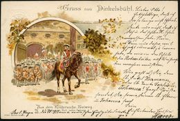 DINKELSBÜHL 1898 (Dez.) 1K Auf PP 5 Pf. Wappen, Grün: Kinderzeche-Festzug = Reiter / Friederizian. Kindersoldaten, Vorne - Autres & Non Classés