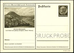 Königstein (Sächs Schweiz) 1937 6 Pf. BiP Hindenbg. Braun + Amtl. Lochung:  "D R U C K P R O B E" (Ort Mit Festung, Elbe - Altri & Non Classificati