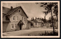 B3878 - Carolagrün Schönheide Schnarrtanne - Franz Landgraf - Schoenheide