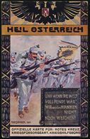 ÖSTERREICH 1915 (14.11.) Color-Propaganda-Künstler-Spenden-Ak.: HEIL ÖSTERREICH.. = Angreifende Infanterie Etc. = Rotkre - WO1