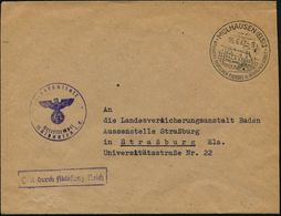 MÜLHAUSEN (ELS)2/ BOLLWERK DEUTSCHEN FLEISSES U. DEUTSCHE ARBEIT 1942 (5.6.) HWSt + Viol. HdN: Strafanstalt/ Mülhausen I - Otros & Sin Clasificación