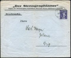 SCHWEIZ 1925 (25.11.) PU 5 C. Tellknabe, Viol.: "Der Stenographer", Organ Der Stenographia Technikum Biel.. (Mittelfalte - Non Classificati
