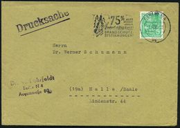 BERLIN N4/ Bg/ 75% ALLER/ BRÄNDE/ Durch/ Fahrlässigkeit!.. 1956 (3.8.) MWSt = Zündholz Vor Tannen , Klar Gest. Fern-Bf.  - Brandweer