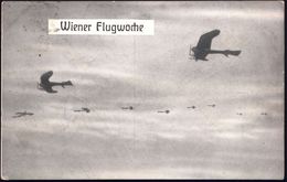 ÖSTERREICH 1913 (22.6.) S/w.-Foto-Ak.: Wiener Flugwoche , EF 5 H. KFJ (gest. Wien) + Viol. 1K-HdN: 15.-22.VI. 1913/ Flug - Other (Air)