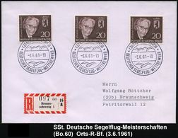 (20b) BRAUNSCHWEIG/ DT.SEGELFLUG-WETTBEWERB 1961 (3.6.) SSt (3 Stilis. Vögel) 3x + RZ: Braun-/schweig 1/d D, Klar Gest.  - Vliegtuigen
